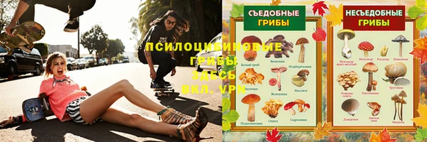 амф Абинск