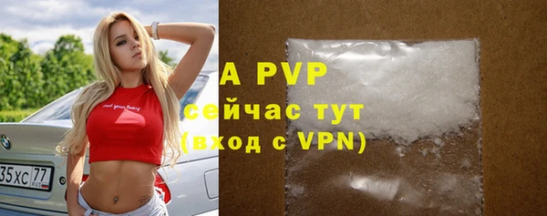 сатива Абаза