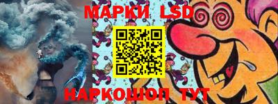 индика Обнинск