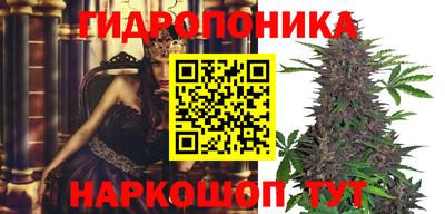 стаф Новозыбков