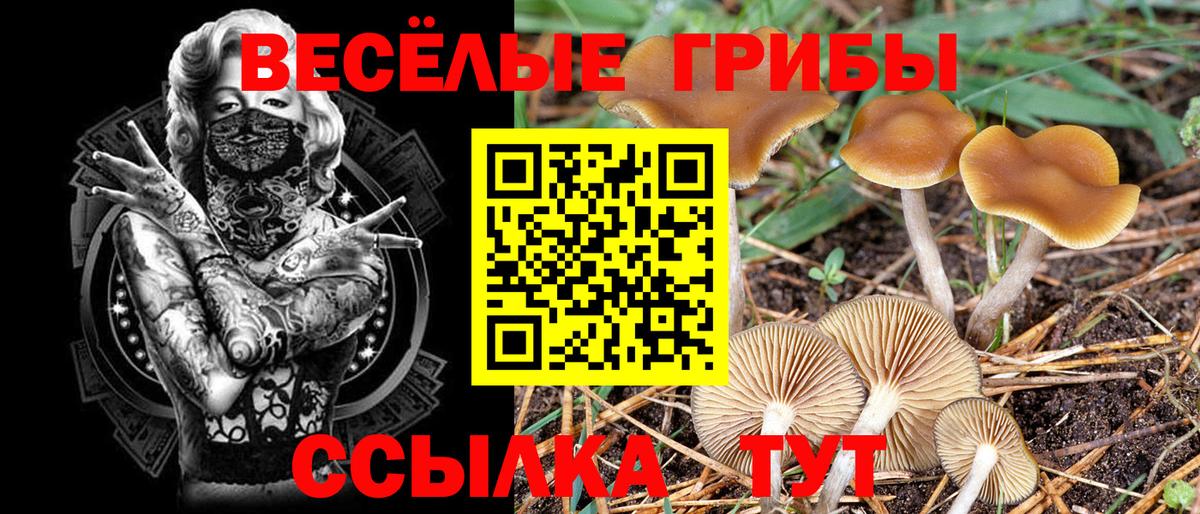 Тавда  Псилоцибиновые грибы Psilocybe  Вход с VPN  Галлюциногенные грибы мухоморы 