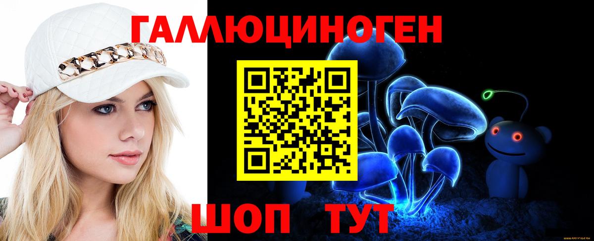 Галлюциногенные грибы Psilocybe Тавда